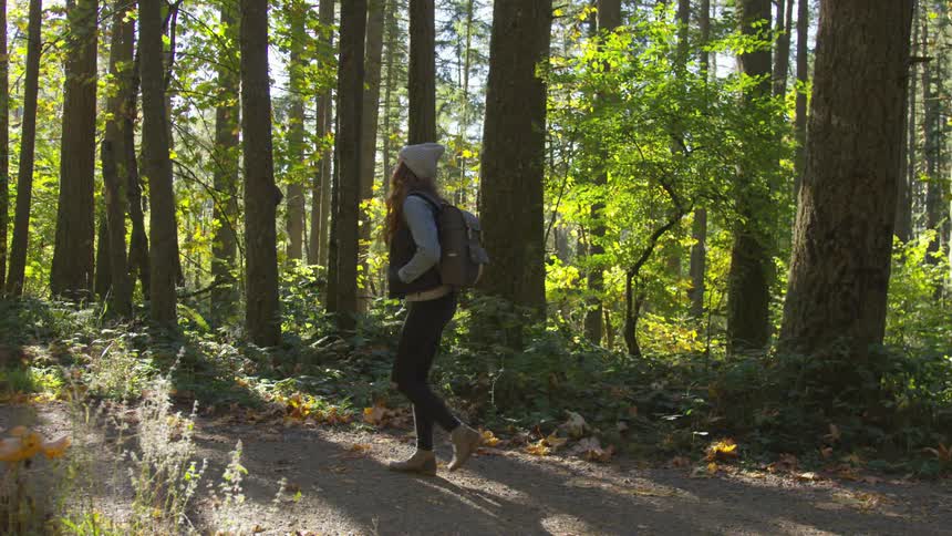 A woman wearing a backpack walks on a trail in the woods on a sunny day