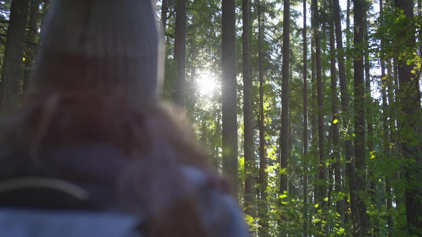 Woman stands watching sun shine through forest