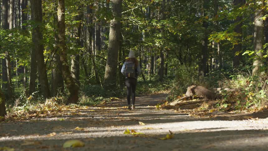 Woman wearing a backpack walking in a trail in the middle of a forest