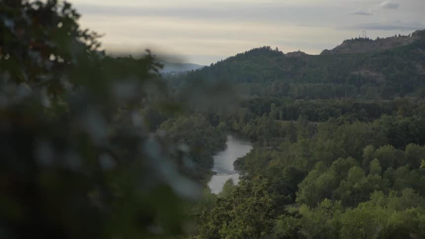 A river cuts through a thick forest situated on a hill