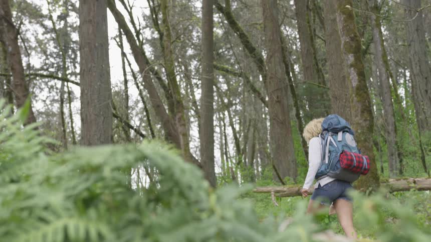 A woman is hiking in a wooded area