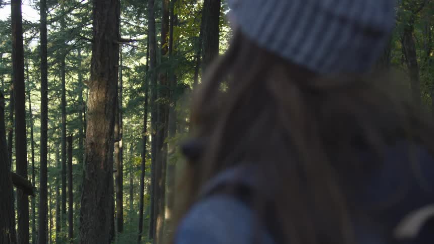 Woman in hat stands in pine forest