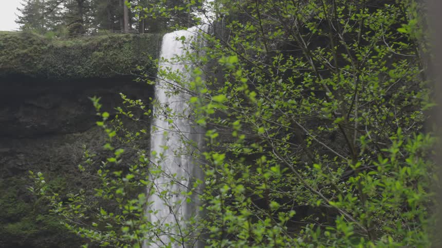 A waterfall that is flowing in the middle of a forest