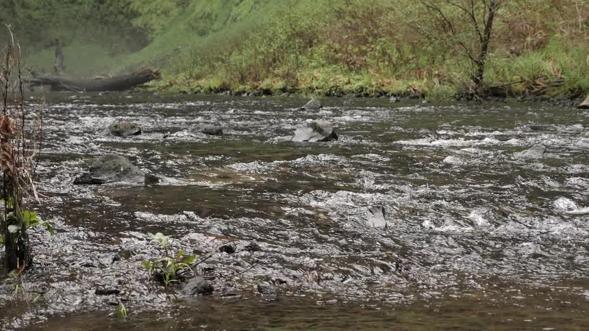 A river flows over rocks