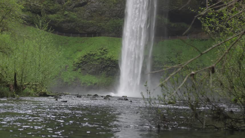 A waterfall pouring a stream in a woodland