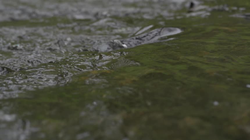 Stream of water flows in the daytime