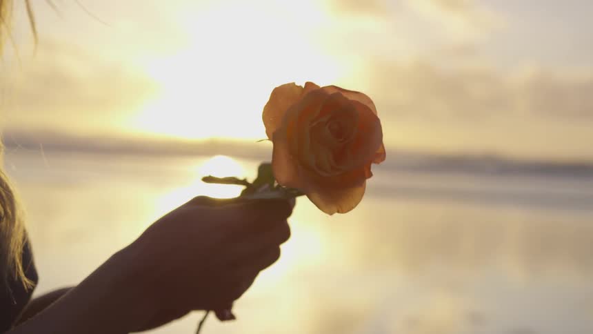 Woman holds a rose while the sun sets