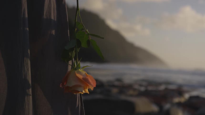 A rose hangs down by a woman's dress overlooking the ocean