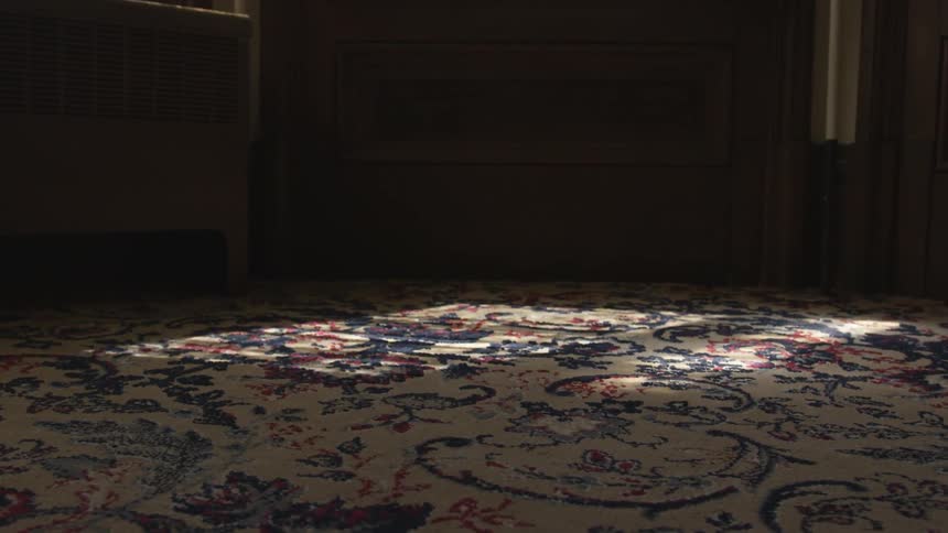 Camera looks over a rug that has a bright patch of sun on it
