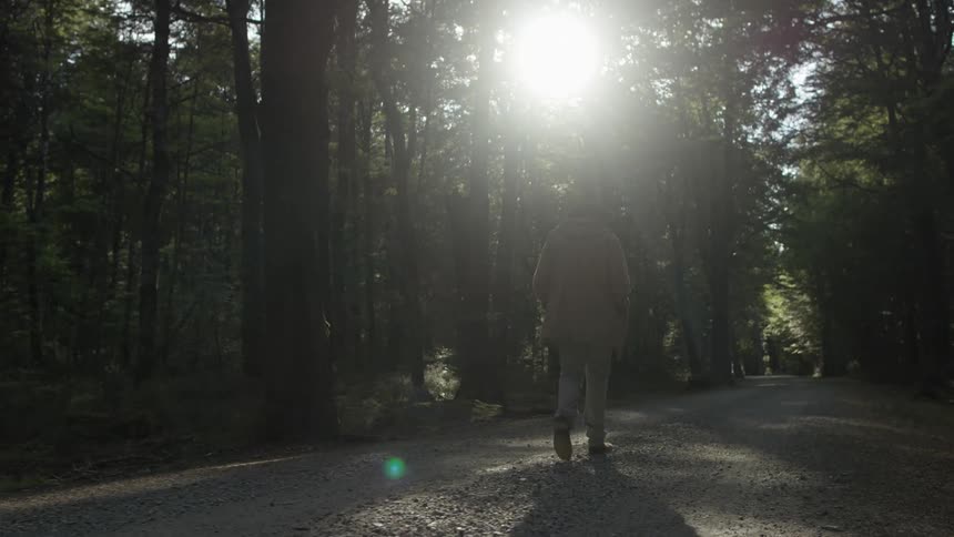 Man walks in the woods with the sun shining through the trees