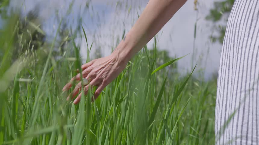 Person walks with their hand running through tall grass