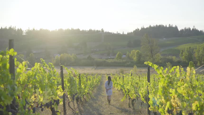 Woman in white dress hat and boots walks through vineyard field