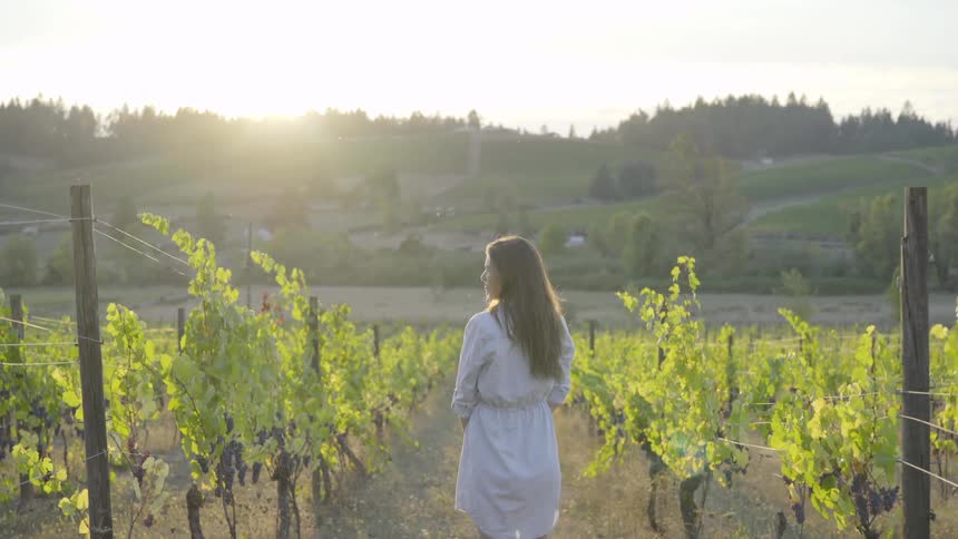 A woman surveys a vineyard