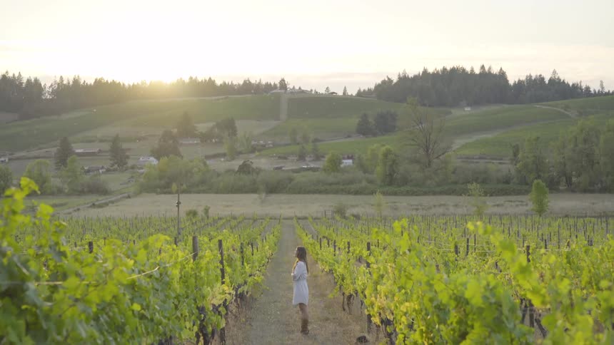 Woman stands between rows of grape vines