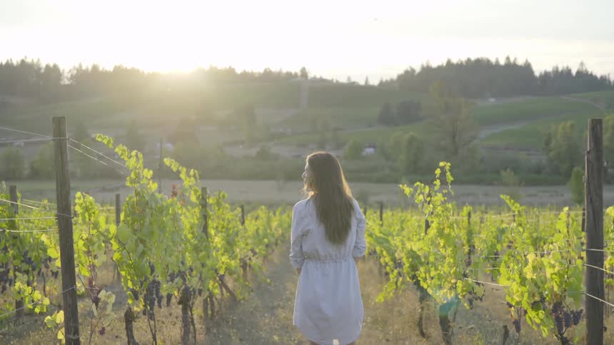 A woman is standing in the vineyard