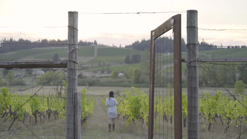 Woman walks through the orchard towards green hills