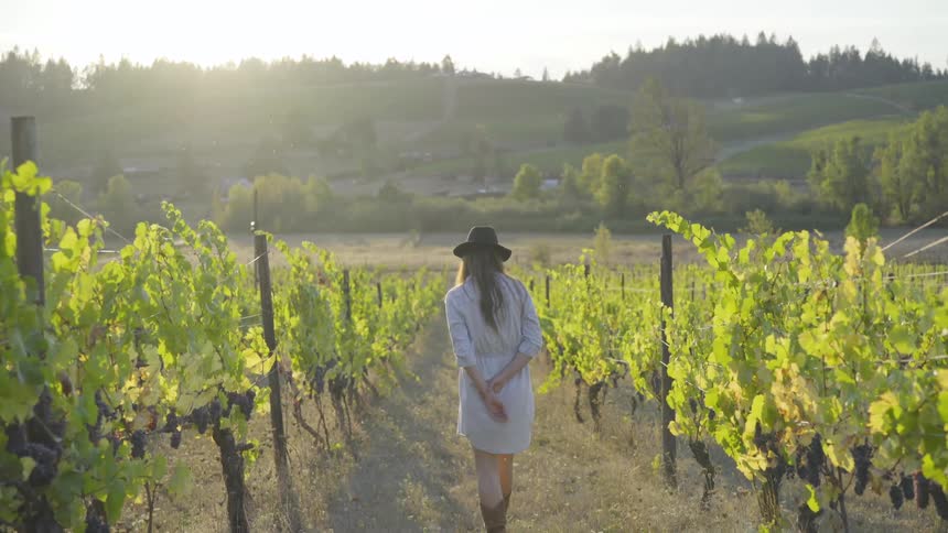 Woman walks through orchard