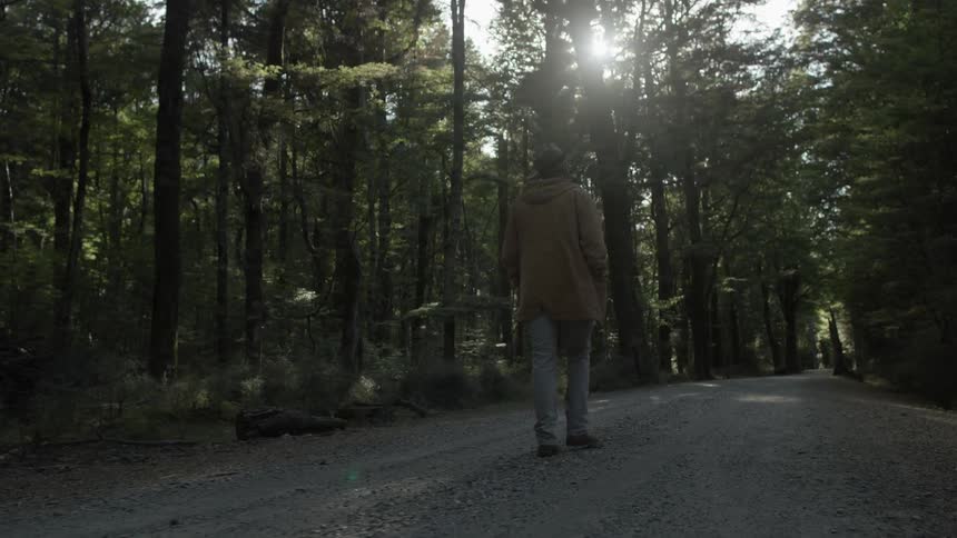 A man walking down a small trail in a forest on a sunny day