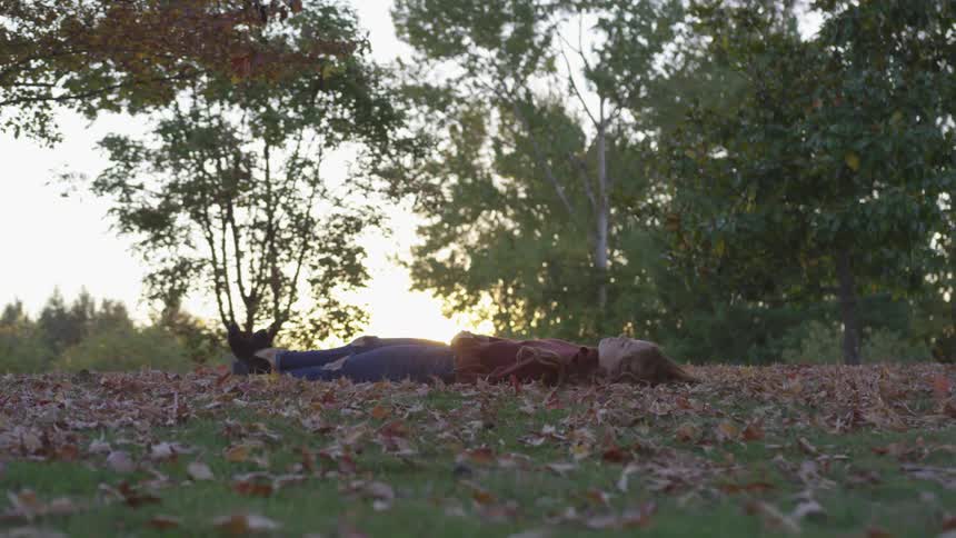 A woman is laying down in the leaves outdoors