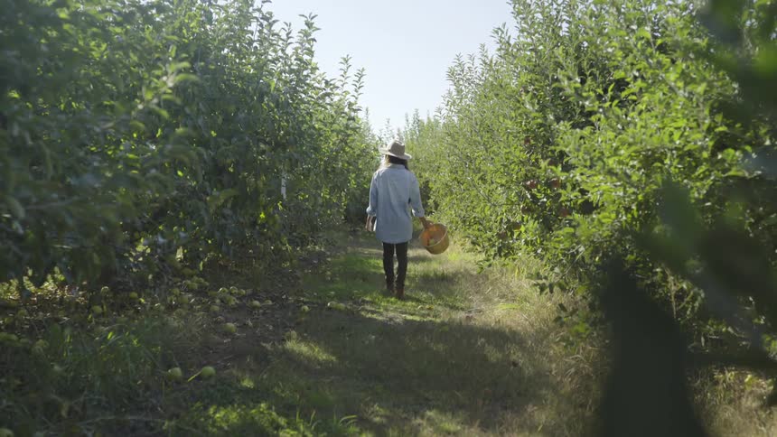 A woman wearing a hat and wearing a blue shirt strolls lazily down a grass path
