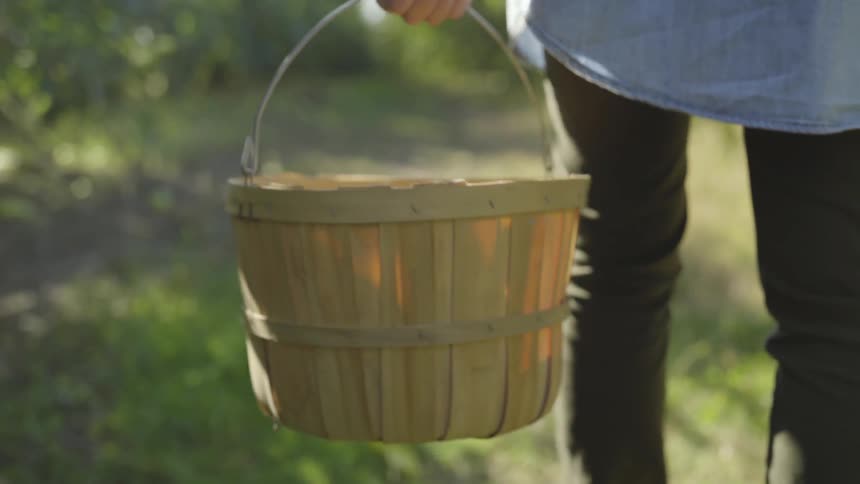 Person carrying basket