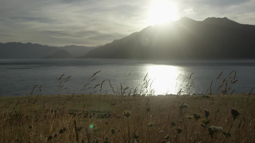 Grass blows in the wind beside a body of water