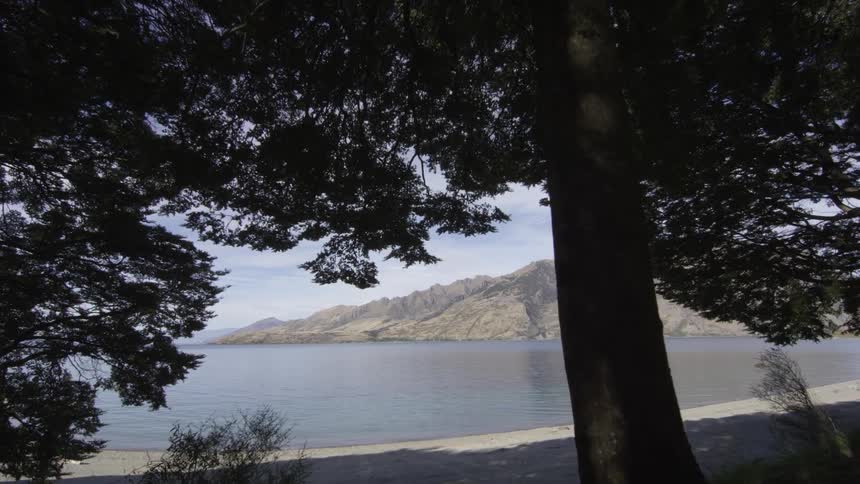 Trees sit along a calm lake on a sunny day