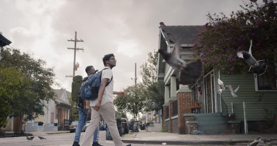 Two black boys cross the road when pigeon fly in the neighborhood in the daytime