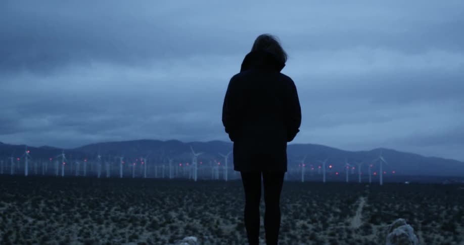 A woman staring out over a field full of windmills