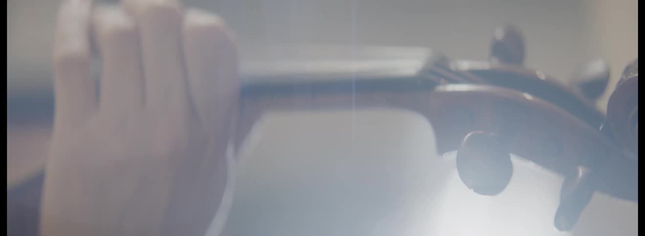 Woman playing the violin
