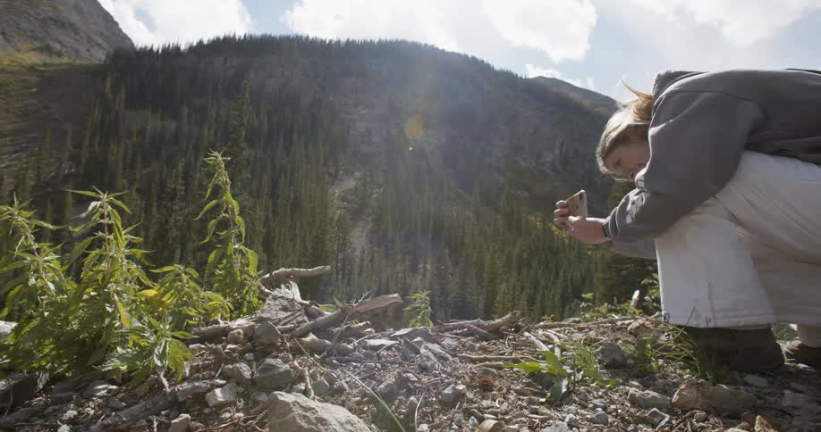 Blonde woman crouching down and takes picture of plant with smart phone in the mountains on a sunny day