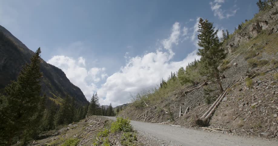 A dirt road near mountains and trees