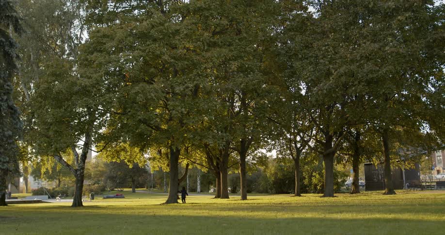 A young child plays with an adult near the tree