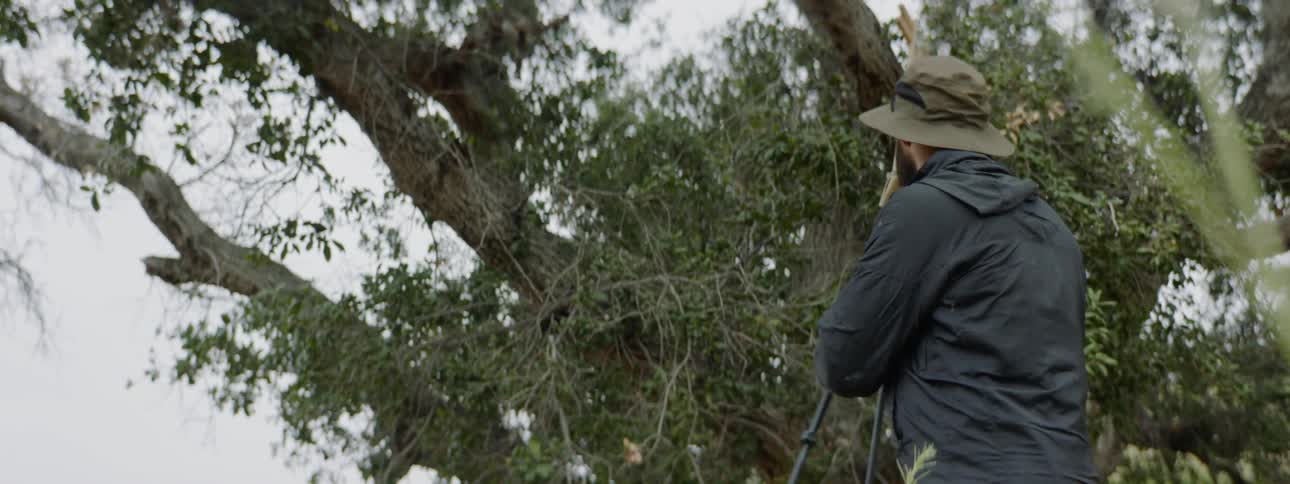 Man in hat unfolds artist easel underneath tree