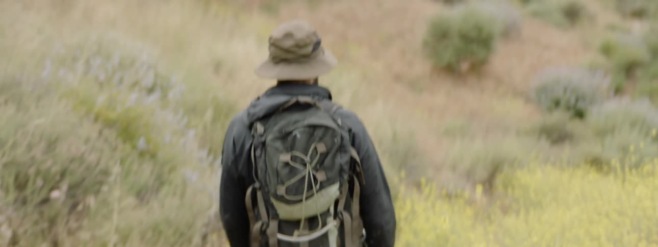 Person walking in a field