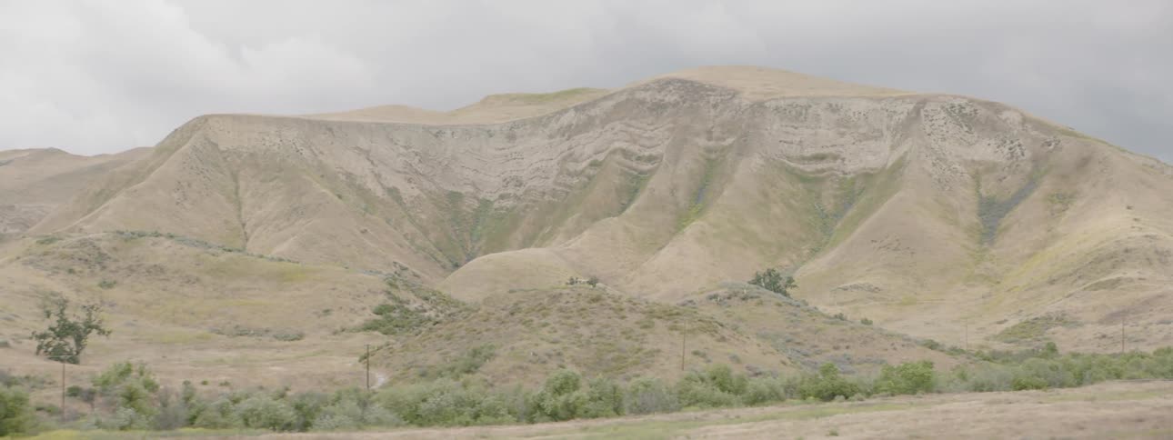 A mountain looms behind a tree line