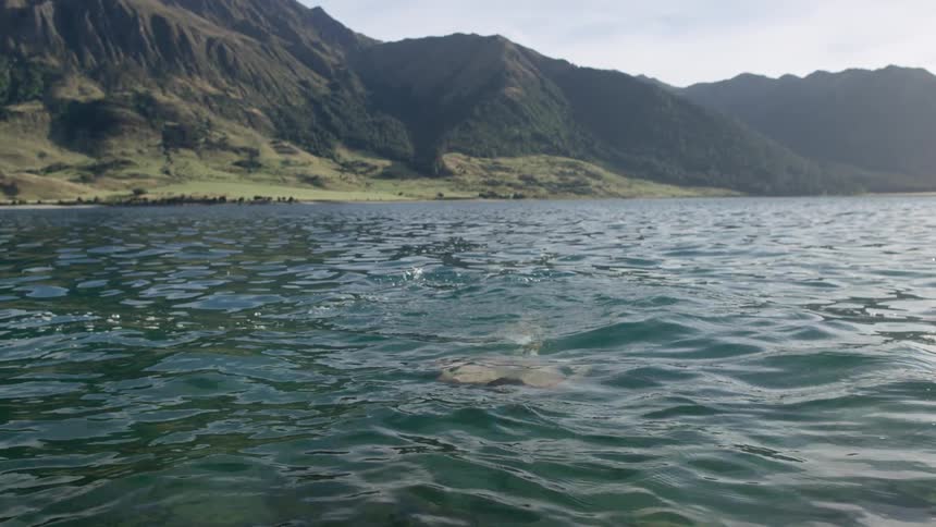 A man swims up right under the surface of the water