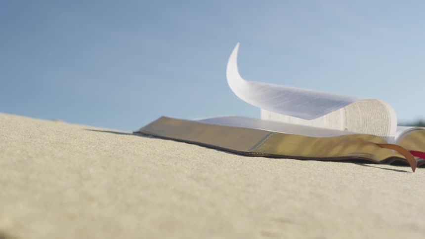 A book sitting in the sand with pages blowing in the wind