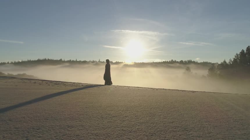 A figure walks across a sand dune with the sun and forest in the background