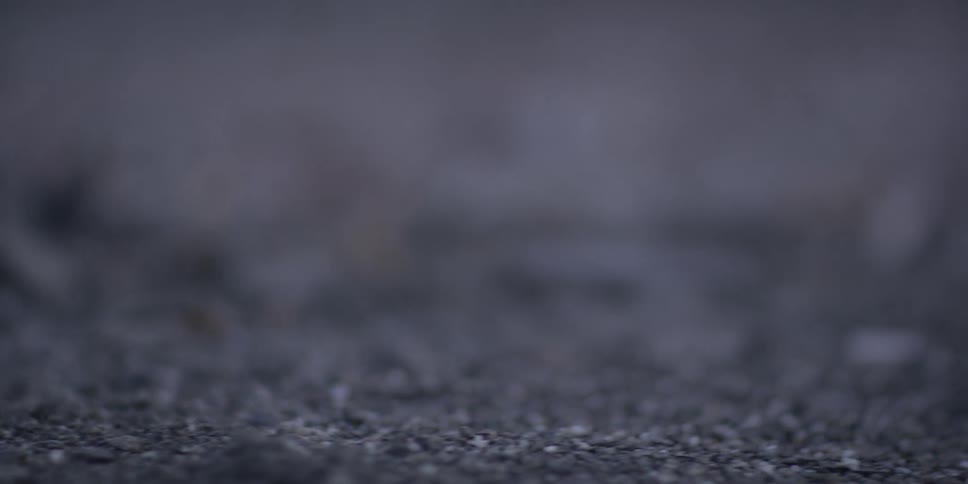 A hoof in the dirt