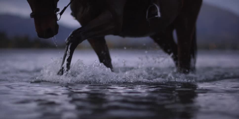 A woman riding a horse wades through shallow water at dusk