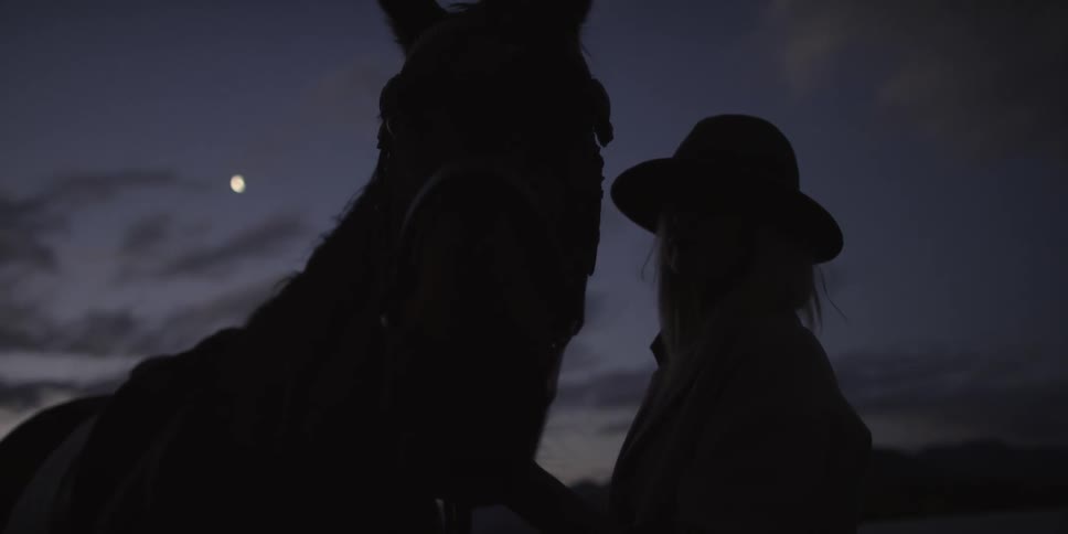 A person is standing by a horse at night