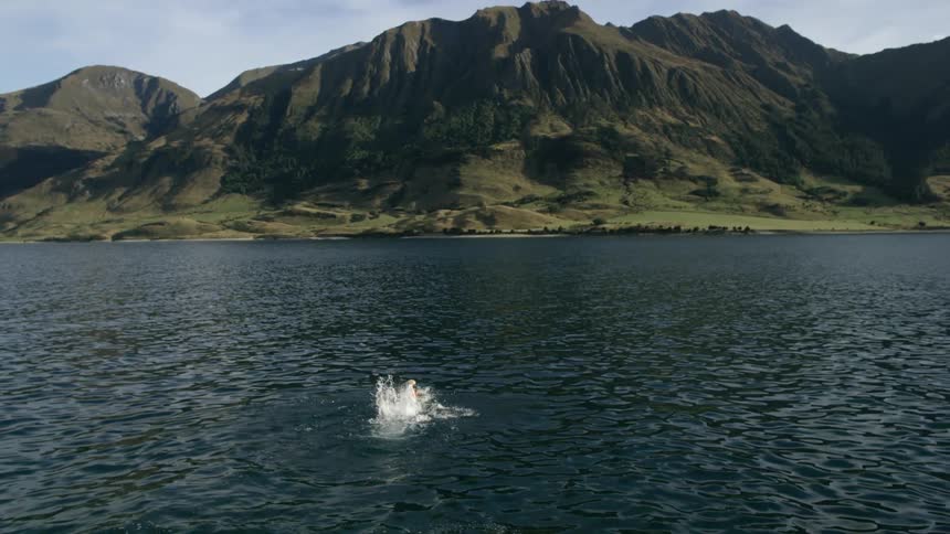 Man Swimming In Lake Hawea