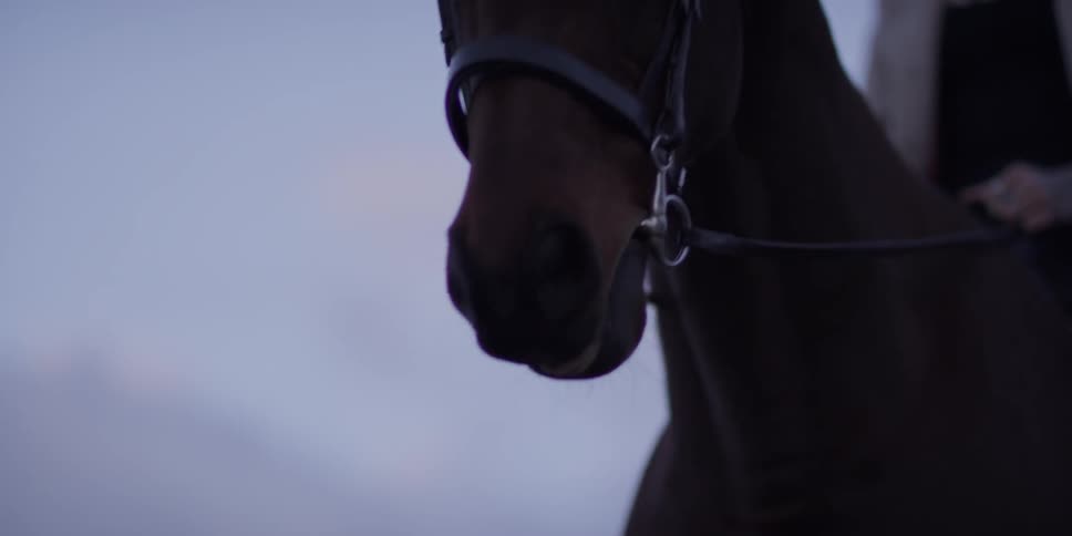 A woman riding a horse at dusk