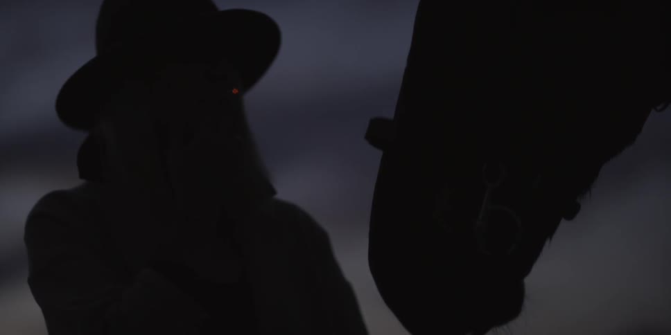 A horse and a person in the dark