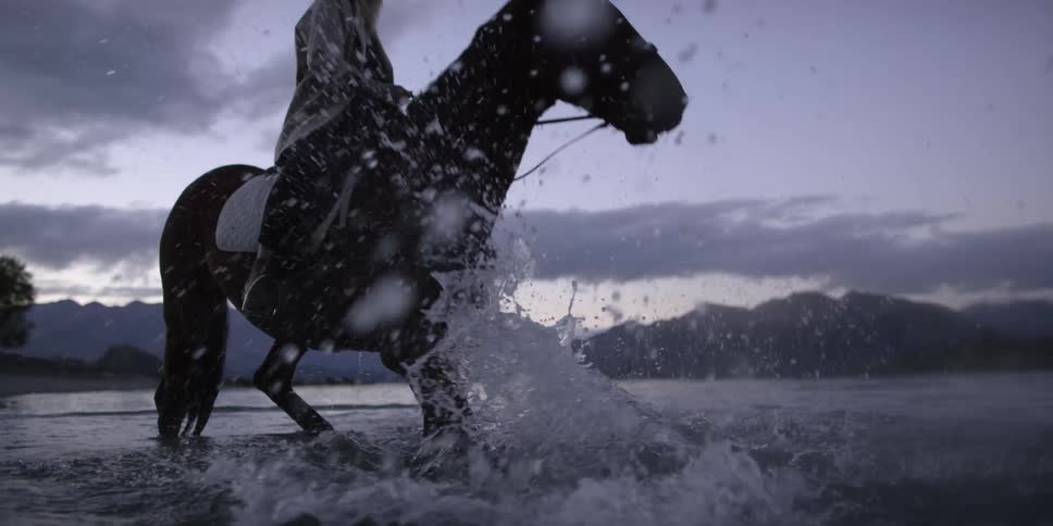 A horse splashing in the water