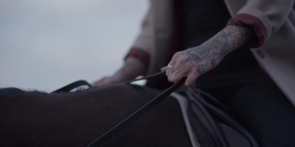 A person is riding a horse holding the harness straps on a cloudy day