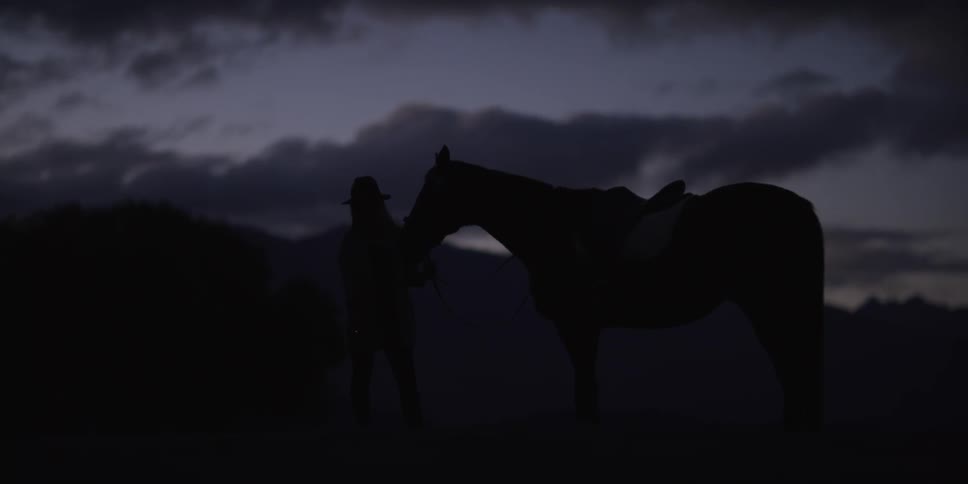 Silhouette of a horse stands with it's rider holding the reins