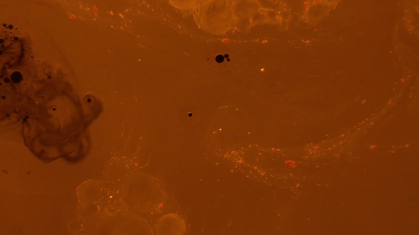 Yellow and orange fluids and specks swirling