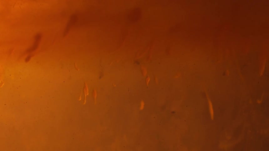 Orange water with black blobs